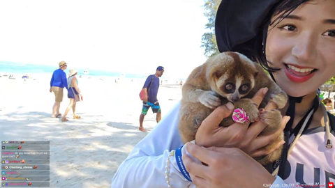Jinny holds a slow loris