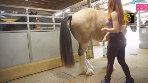 horse shits on her stream