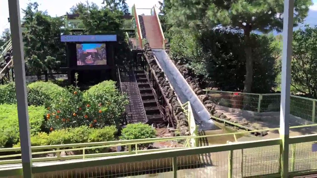 EXBC - Pigs going down water slide at park. Mostly upright.