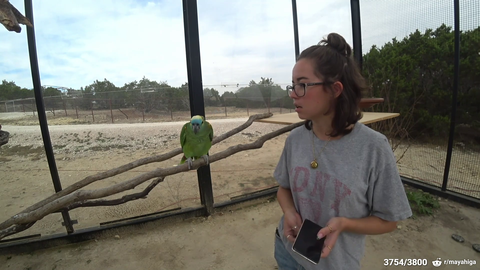 M0xxy visits Maya at Alveus