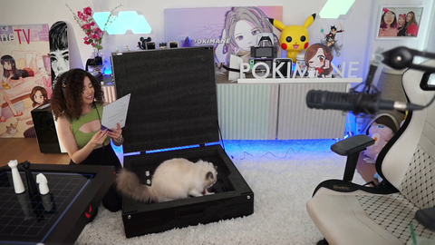 Poki’s Cat Really Likes Valorant’s Gift