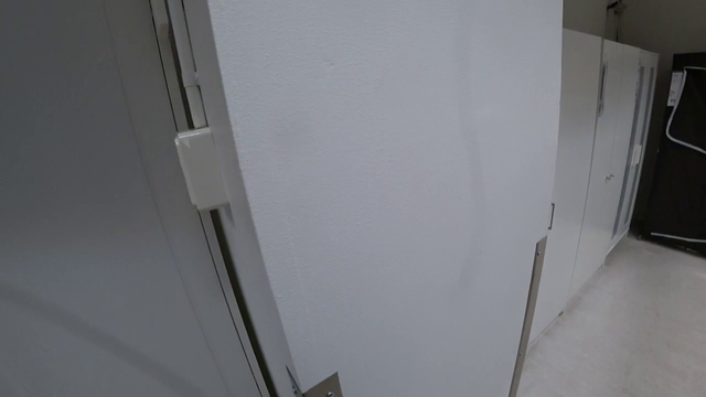 What Ikea Is Truely For LULW