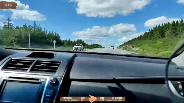 Bear cub runs in front if Hitch's ride