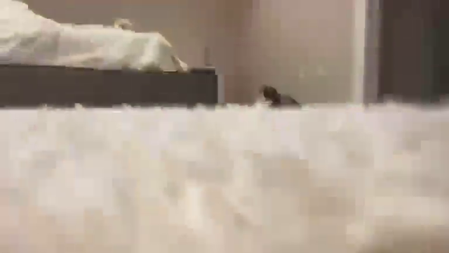 We lost Lirik PepeHands