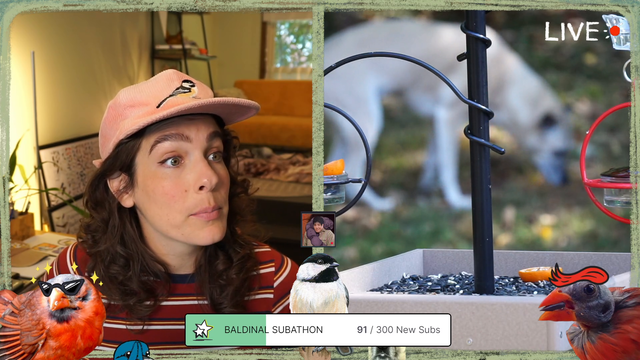 Streamer's dog knows exactly how to play to the camera