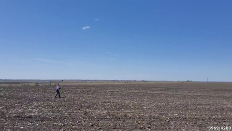 Maya's falcon hits the lure hard