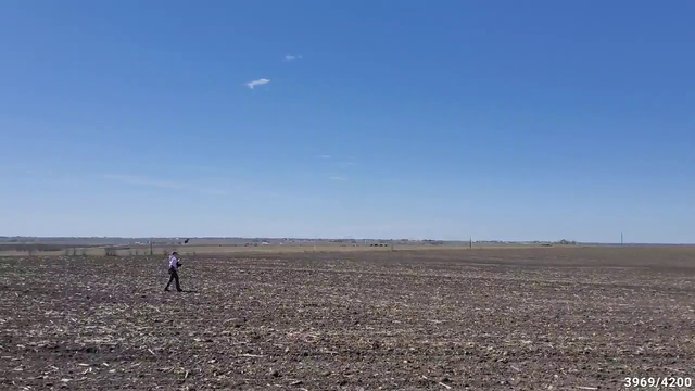 Maya's falcon hits the lure hard