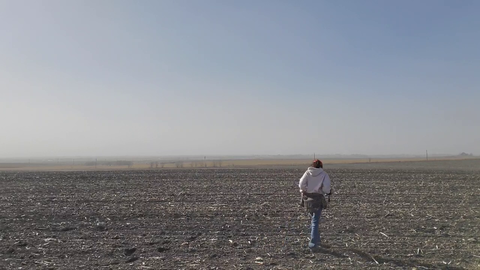 [No Drama] Maya free flying her Falcon in a Texas field