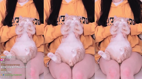 widepeepoHappy 02