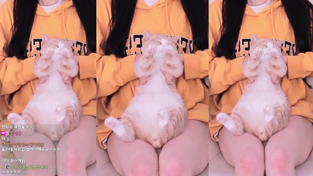 widepeepoHappy 02