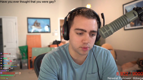 mizkif questions his sexuality