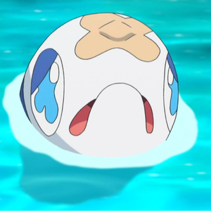 MinnowLIVE