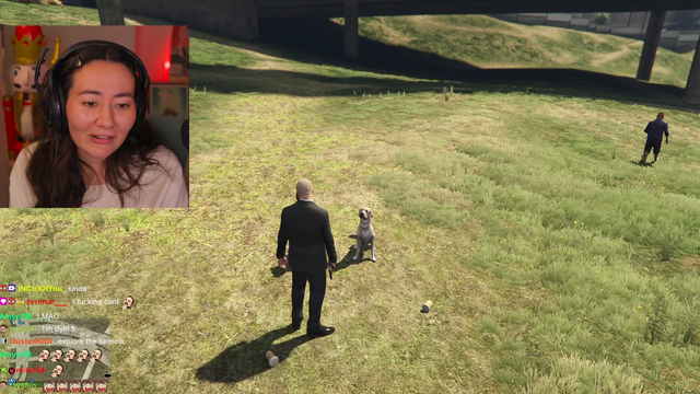 alana kicks a dog
