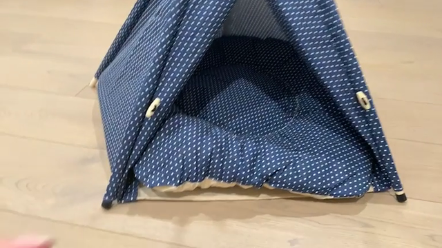 kkatamina finds the missing piece to her dog's tent and uh...