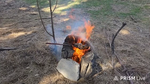 Streamer EBZ drops his meat in the fire while trying to cook in a tree stump and panics when the fire gets out of control.