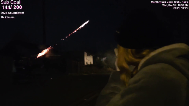 TheNicoleT sees random person accidentally light a tree on fire with fireworks during walk in her city