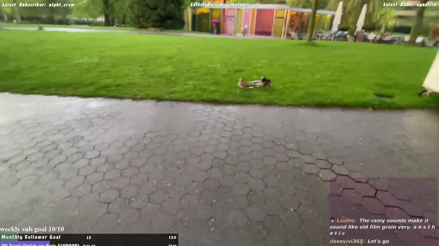 Angle of Zürich, Evangelion pilot NinthChild tries to stop a monstrous love triangle street brawl in the rain