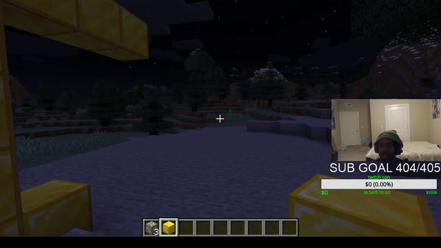 Streamer has some trouble drawing an S in Minecraft