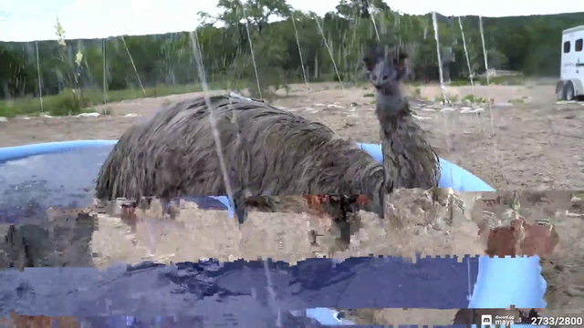 IRL Jurassic Park monkaS