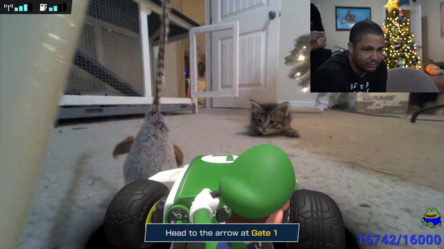 Mizkif puts a Cat Toy on his RC Mario Kart Toy