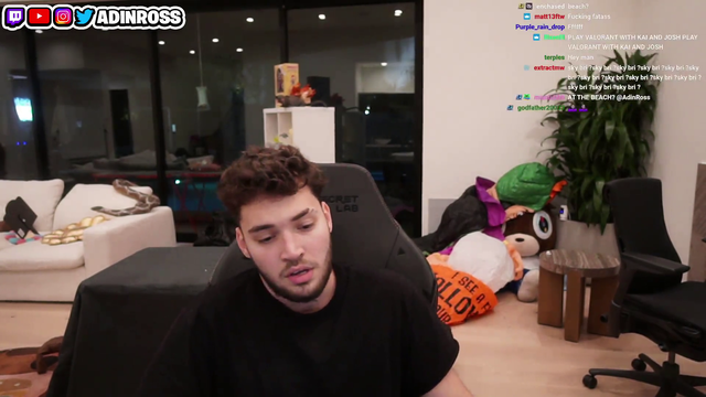 Adin describes who Tyler1 is to his chat