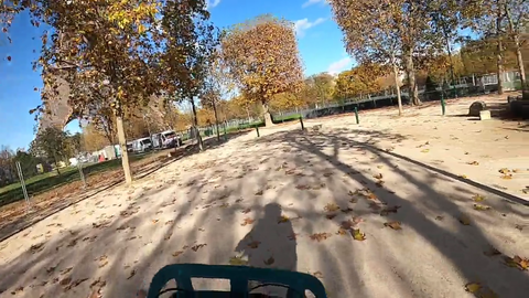 Paris tour guide reveals Eiffel Tower's secret kitchen