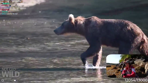 Maya Higa became emotional and broke down in tears after witnessing a wild female brown bear walking alongside her cubs