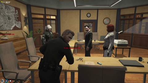 LSPD interviews in the nutshell