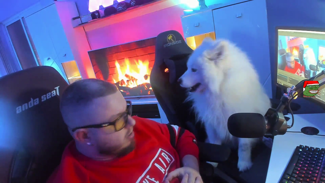 Dog wants to be petted again