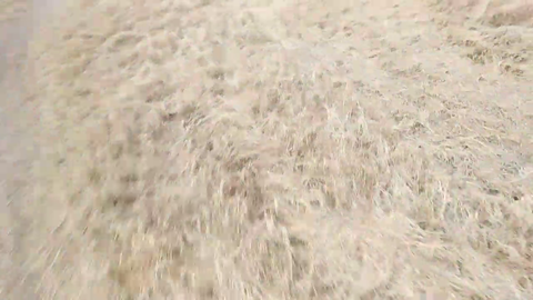 Next level KKona Elite outdoor stream