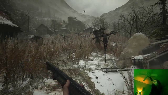 Aris hunts for birds