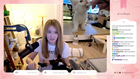 Kitten wins a tug-a-war with streamer(plushys)