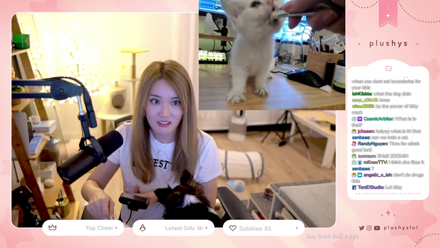 Kitten wins a tug-a-war with streamer(plushys)