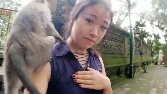 Streamer got groomed in monkey forest