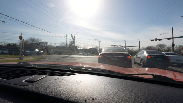 Knut enjoying texas traffic