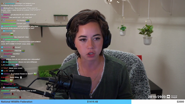 Maya on SeaWorld and the effect of Blackfish