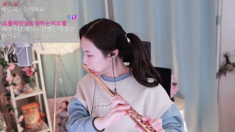 Harry Potter Hedwig's theme on a flute