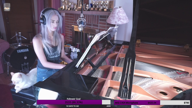 Streamer gets attacked by a cat during stream!