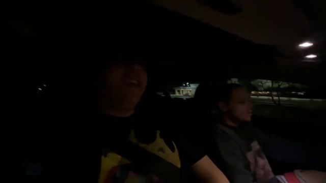 Erobbs audio malfunctions