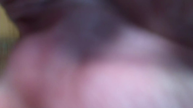 Reynad is really the devil?