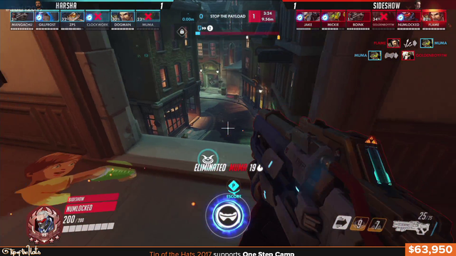 Professional Overwatch.