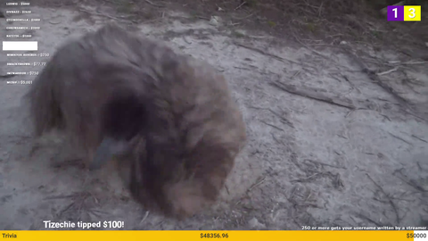 Stompy provides the best content for Maya's stream