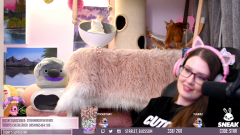 When you have your pets on screen.