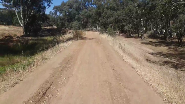 Snakes, spiders? No, Australians are scared of birds