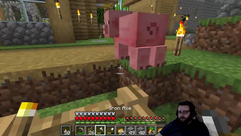 Baby Pig learns quickly