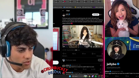 Stableronaldo notices weird accounts farming pokimane hate