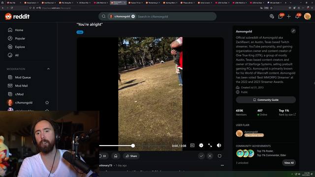 Streamer checks with chat if is ok to laugh and then doubles down.