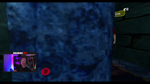 Jake and Sodapoppin's friend found a Rule 34 furry map in VRChat