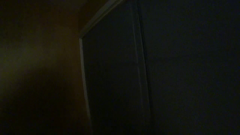 Esfand and Annie get the Well Fed buff while playing Hide and Seek
