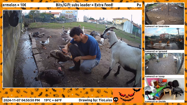 Ferocious animal bites streamer 🐐😱